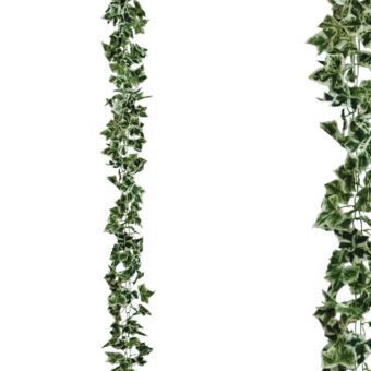ΓΙΡΛΑΝΤΑ ΚΙΣΣΟΣ ΔΙΧΡΩΜΟΣ ΑΛΥΣΙΔΑ Υ270cm