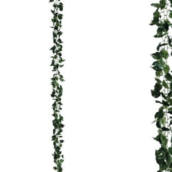 ΓΙΡΛΑΝΤΑ ΠΟΘΟΣ ΠΡΑΣΙΝΟ/ΚΙΤΡΙΝΟ ΑΛΥΣΙΔΑ Υ270cm