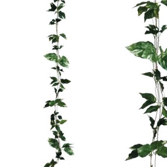 ΓΙΡΛΑΝΤΑ ΠΟΘΟΣ ΔΙΧΡΩΜΟΣ X3 - Υ270cm