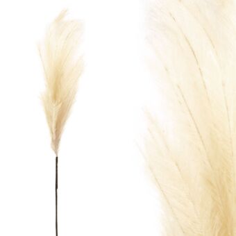 FOAM ΕΚΡΟΥ  PAMPAS  Y117/64cm