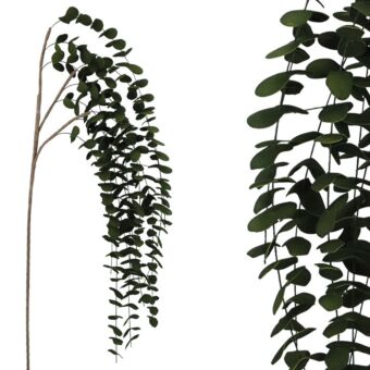 FOAM ΠΡΑΣΙΝΟ  ΕΥΚΑΛΥΠΤΟΣ ΚΡΕΜΑΣΤΟ Y130/72cm