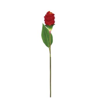 ΚΛΑΔΙ ΤΖΙΝΤΖΕΡ ΚΟΚΚΙΝΟ - Y62cm