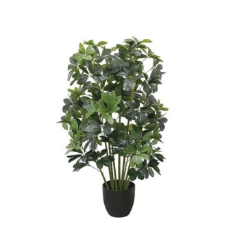 ΔΕΝΤΡΟ ΣΕΦΛΕΡΑ ΣΕ ΚΑΣΠΩ - Υ95cm