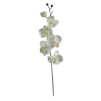 ΚΛΑΔΙ ΟΡΧΙΔΕΑ ΣΑΜΠΑΝΙ Y72cm.