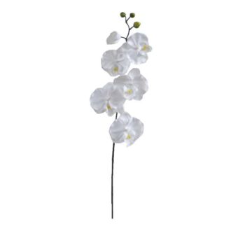 ΚΛΑΔΙ ΟΡΧΙΔΕΑ ΛΕΥΚΟ Y72cm.