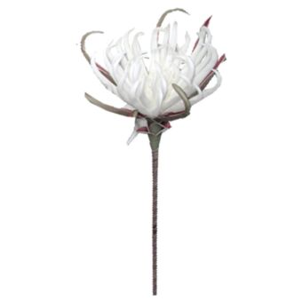 FOAM ΛΕΥΚΟ ΑΓΚΙΝΑΡΑ Y82cm.