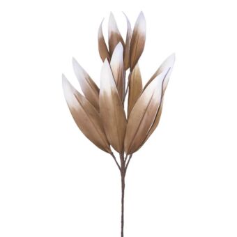 FOAM ΚΑΦΕ ΦΥΛΛΟ  Y85cm