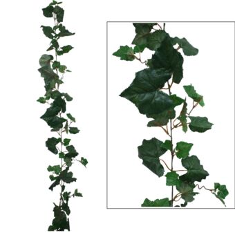 ΓIΡΛΑΝΤΑ ΑΜΠΕΛΙ ΠΡΑΣΙΝΟ (122 ΦΥΛΛΑ) Y180cm.
