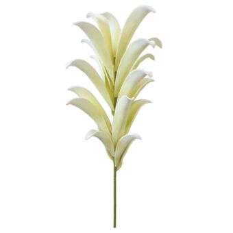 FOAM ΦΥΛΛΟ ΕΚΡΟΥ Υ116cm.