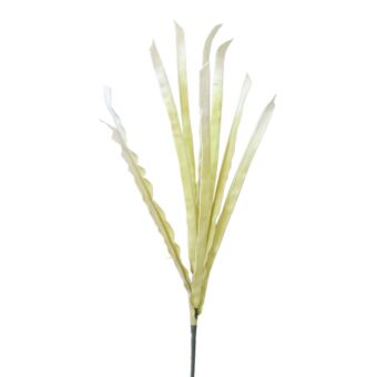 FOAM ΕΚΡΟΥ ΦΥΛΛΩΜΑ Υ113cm.