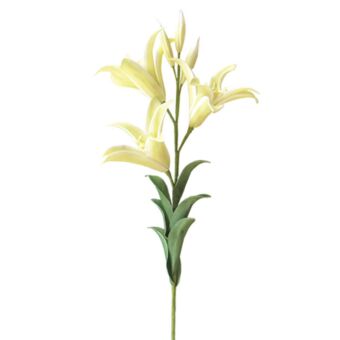 FOAM ΕΚΡΟΥ ΛΙΛΙΟΥΜ Y97cm.