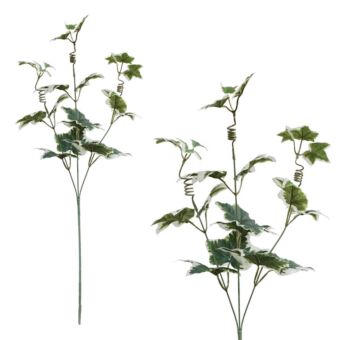 ΚΛΑΔΙ ΚΙΣΣΟΣ ΔΙΧΡΩΜΟΣ Y56cm.