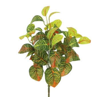 ΡΙΖΑ ΒΙΓΟΝΙΑ ΠΡΑΣΙΝΟ/ΠΟΡΤΟΚΑΛΙ Χ7 50lvs Υ40cm