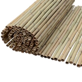 Καλαμωτή bamboo Tonkin με περαστό σύρμα 14-20mm