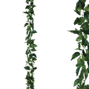 ΓΙΡΛΑΝΤΑ ΠΟΘΟΣ ΠΡΑΣΙΝΟ ΑΛΥΣΙΔΑ Y270cm