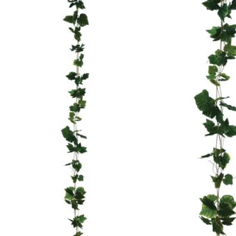 ΓΙΡΛΑΝΤΑ ΠΡΑΣΙΝΟ ΚΙΣΣΟΣ ΠΛΑΤΥΦΥΛΛΟΣ X3 - Υ270cm