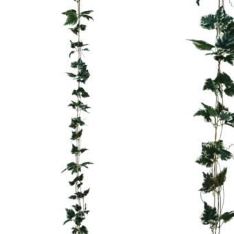 ΓΙΡΛΑΝΤΑ ΔΙΧΡΩΜΟ ΠΡΑΣΙΝΟ ΚΙΣΣΟΣ Χ3 - Υ270cm