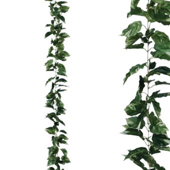 ΓΙΡΛΑΝΤΑ ΠΟΘΟΣ ΔΙΧΡΩΜΟ ΠΡΑΣΙΝΟ - Υ270cm