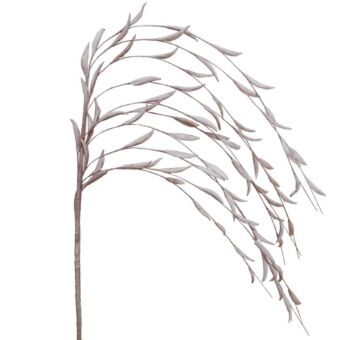 FOAM ΙΤΙΑ ΣΟΜΟΝ Y53cm.
