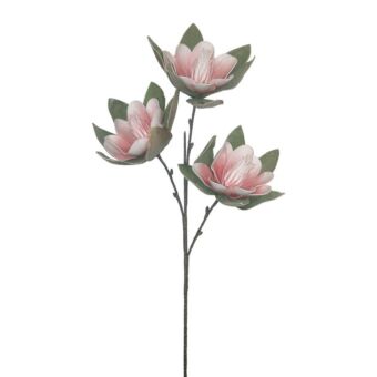 FOAM ΡΟΖ ΜΑΝΩΛΙΑ x3 ΑΝΘΟΣ 35x85cm