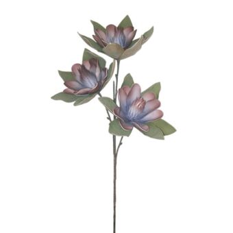 FOAM ΜΠΛΕ-ΚΑΦΕ ΜΑΝΩΛΙΑ x3 ΑΝΘΟΣ 35x85cm