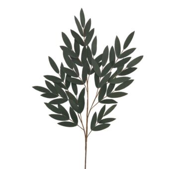 FOAM ΠΡΑΣΙΝΟ ΦΥΛΛΩΜΑ ΑΚΑΚΙΑΣ 70x113cm
