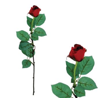 ΚΛΑΔΙ ΜΠΑΚΑΡΑΣ ΜΠΟΡΝΤΩ ΚΛΕΙΣΤΟ MONO Y77cm.