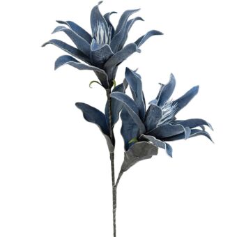 ΚΛΑΔΙ FOAM ΑΝΘΗ ΓΚΟΥΣΜΑΝΙΑ x2 ΜΠΛΕ - 15x95cm