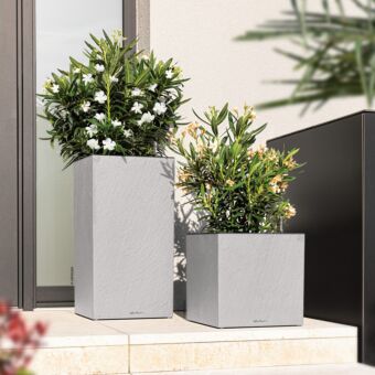 Γλάστρα Canto Slatestone Low 30