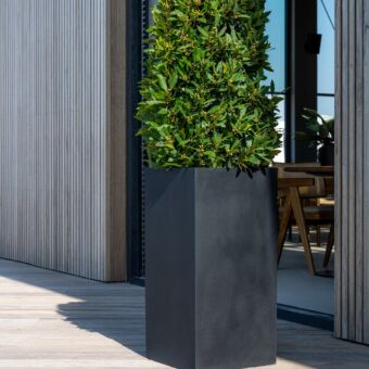 Γλάστρα Τετράγωνη Bouvy XXL, L 50 x W 50 x H 120