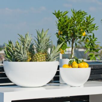 Γλάστρα Peter M (Essential) Ø 28.5 x H 18