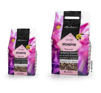 Orchid-Pon