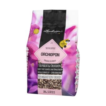 Orchid-Pon