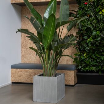 Τετράγωνη Γλάστρα Block L L 50 x W 50 x H 50