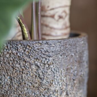 Γλάστρα Dax M Ø 24 x H 60