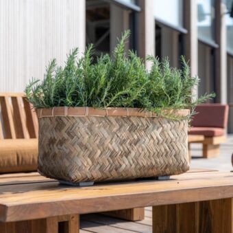 Rafi M, Bamboo 80 L x 40 W x 41H