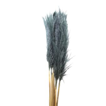 Αποξηραμένο άνθος Pampas Grass grey 125-150cm