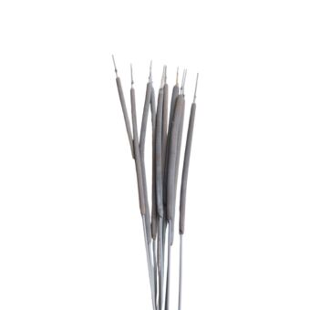 Αποξηραμένο άνθος Typha gray 50-70cm 