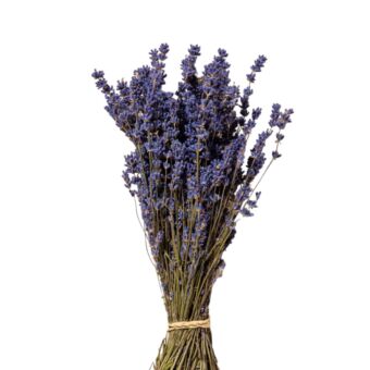 Αποξηραμένο άνθος Lavender blue  25-30cm 