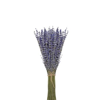 Αποξηραμένο άνθος Lavender classic color 25-30cm 