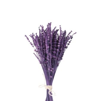 Αποξηραμένο άνθος Lavender purple  25-30cm 