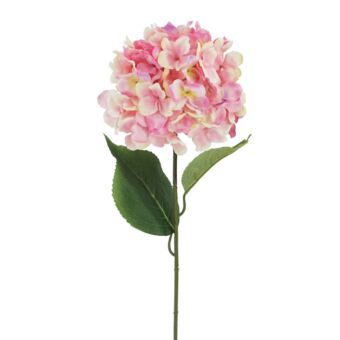 ΚΛΑΔΙ ΟΡΤΑΝΣΙΑ ΡΟΖ Y74cm