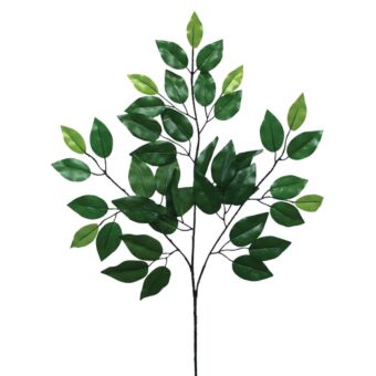 ΚΛΑΔΙ ΦΥΛΛA ΜΠΕΝΖΑΜΙΝ ΠΡΑΣΙΝΟ - Y55cm