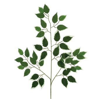 ΚΛΑΔΙ ΦΥΛΛA ΜΠΕΝΖΑΜΙΝ ΔΙΧΡΩΜΟ- Y55cm