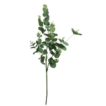 ΚΛΑΔΙ ΕΥΚΑΛΥΠΤΟΣ ΠΡΑΣΙΝΟ Y90cm.