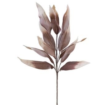 FOAM ΣΟΚΟΛΑ ΜΕΤΑΛΛΙΚΟ ΦΥΛΛΟ Y85cm.