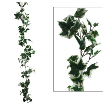 ΓIΡΛΑΝΤΑ ΚΙΣΣΟΣ ΔΙΧΡΩΜΟΣ (122 ΦΥΛΛΑ) Y180cm.