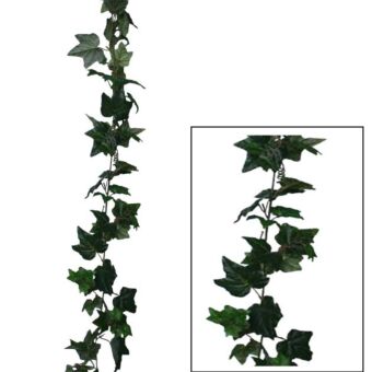 ΓIΡΛΑΝΤΑ ΚΙΣΣΟΣ ΠΡΑΣΙΝΟΣ (122 ΦΥΛΛΑ) Y180cm.