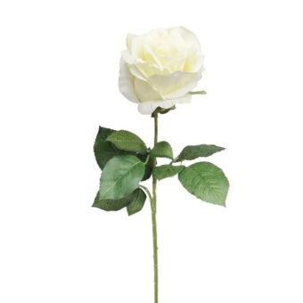 ΚΛΑΔΙ ΤΡΙΑΝΤΑΦΥΛΛΟ ΕΚΡΟΥ ΜΟΝΟ Υ65cm.
