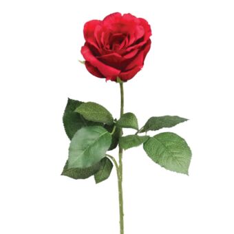 ΚΛΑΔΙ ΤΡΙΑΝΤΑΦΥΛΛΟ ΚΟΚΚΙΝΟ ΜΟΝΟ Υ65cm.